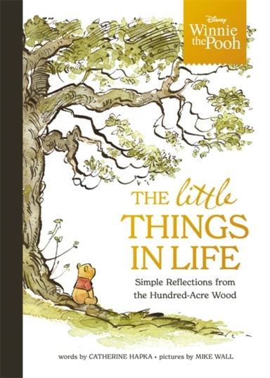Winnie The Pooh - The Little Things In Lifesimple Reflection