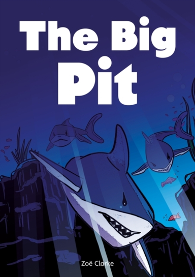The Big Pit Set 03