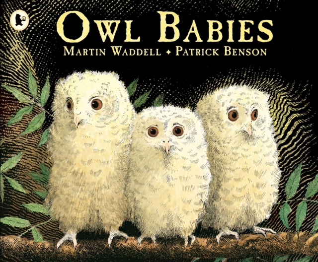 Billede af Owl Babies