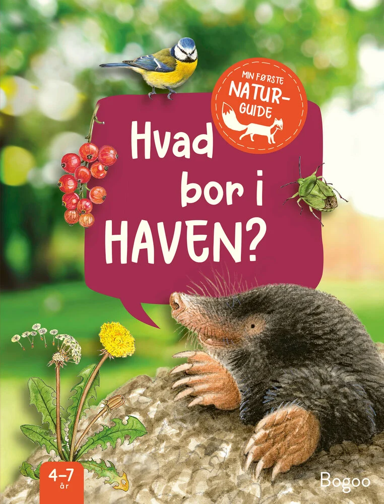 Billede af Hvad bor i haven?