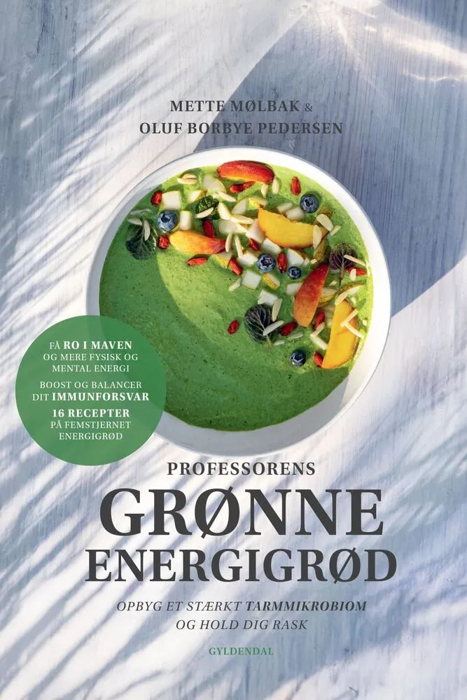 Professorens Grønne Energigrød