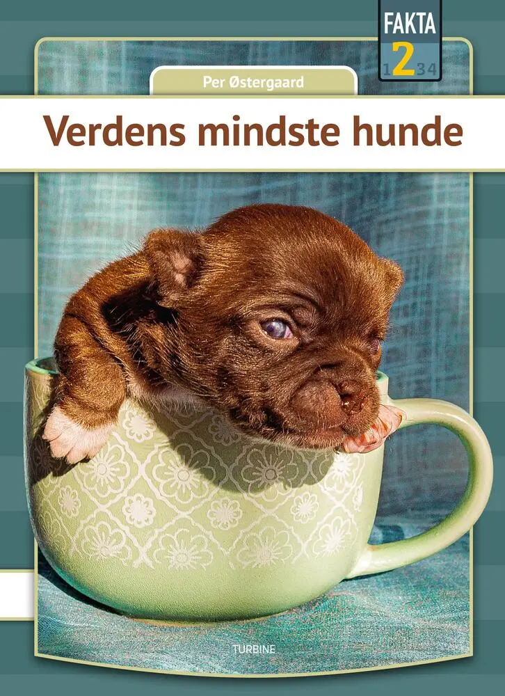 Billede af Verdens mindste hunde