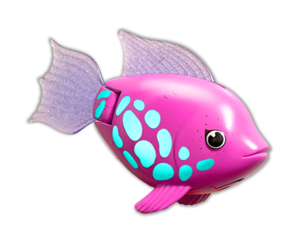 Rainbow Reef Fish - Regnbuefisk