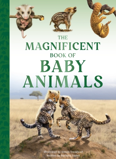 The Magnificent Book Of Baby Animals