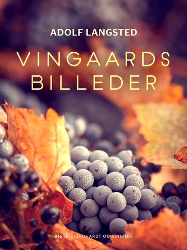 Vingaardsbilleder