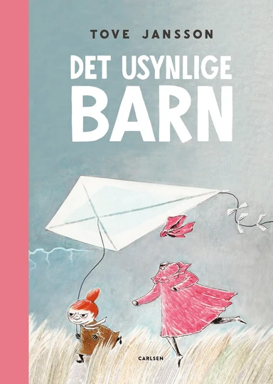 Det usynlige barn