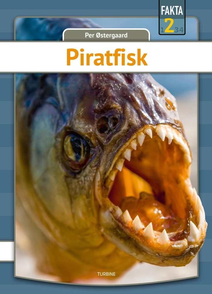 Piratfisk