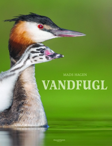 Vandfugl