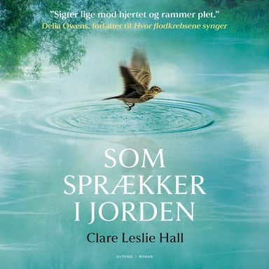 Som sprækker i jorden