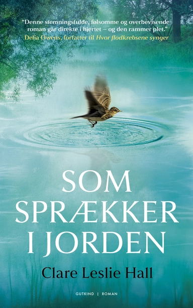 Som sprækker i jorden