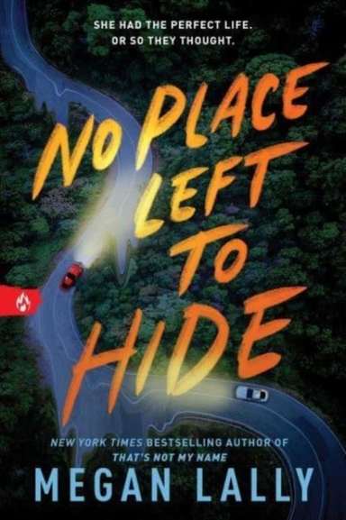 No Place Left To Hidethe