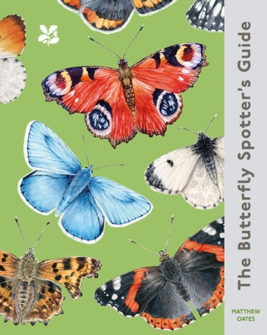 The Butterfly Spotter’S Guide