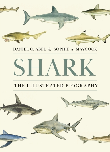 Shark The Illustrated Biography