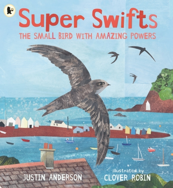 SUPER SWIFTS: THE SMALL BIRD WITH AMAZING POWERS
