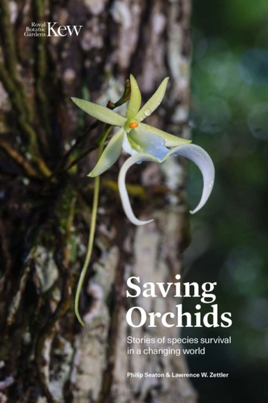 Saving Orchidsstories Of Species Survival In A Changing Worl