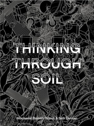 Thinking Through Soil Wastewater Agriculture In The Mezquita
