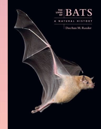 The Lives Of Bats A Natural History