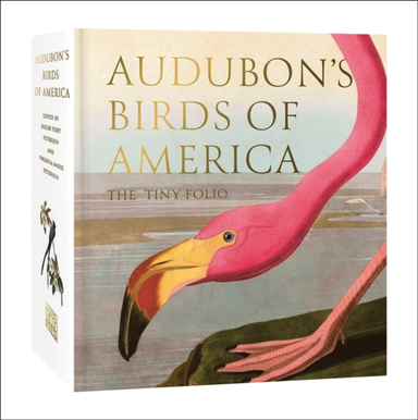 Audubon'S Birds Of America The Tiny Folio