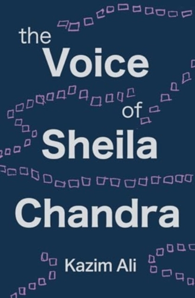The Voice Of Sheila Chandra