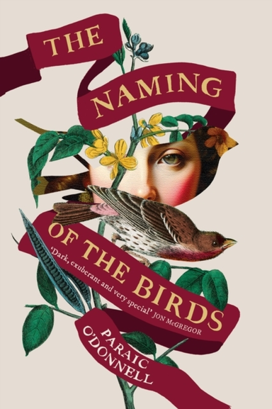 THE NAMING OF THE BIRDS