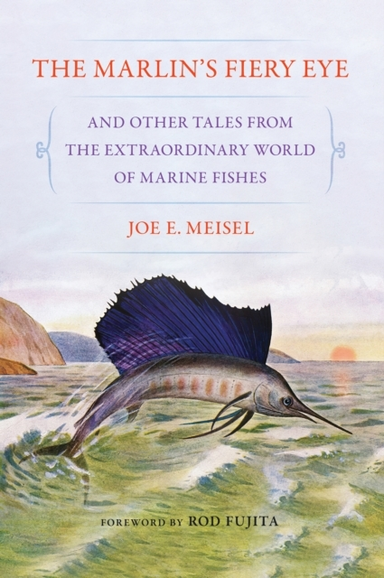 THE MARLIN'S FIERY EYE AND OTHER TALES FROM THE EXTRAORDINAR