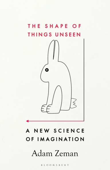 THE SHAPE OF THINGS UNSEEN A NEW SCIENCE OF IMAGINATION