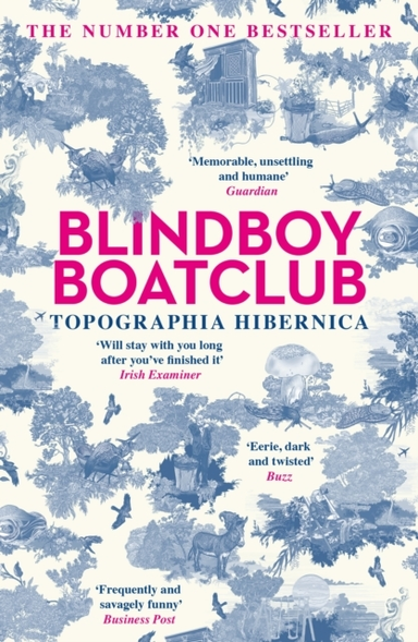 TOPOGRAPHIA HIBERNICA ACCLAIMED STORIES FROM THE BESTSELLING