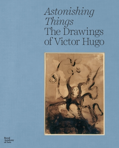 Astonishing Thingsthe Drawings Of Victor Hugo