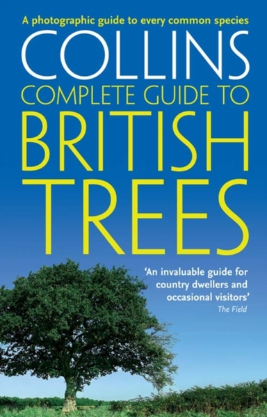 British Trees A Photographic Guide To Every Common Species