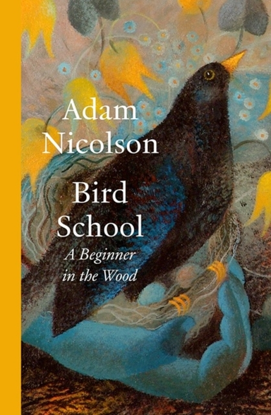 Bird School A Beginner In The Wood