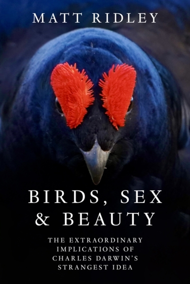 Birds, Sex And Beauty The Extraordinary Implications Of Char