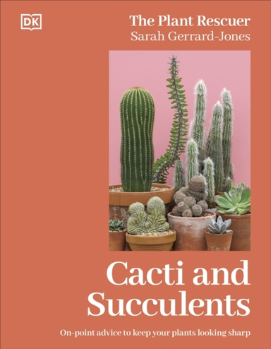 Cacti And Succulents On-Point Advice To Keep Your Plants Loo