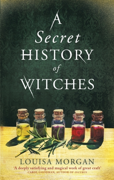 A Secret History Of Witches The Spellbinding Historical Saga
