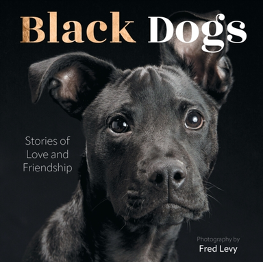Black Dogs Stories Of Love And Friendship