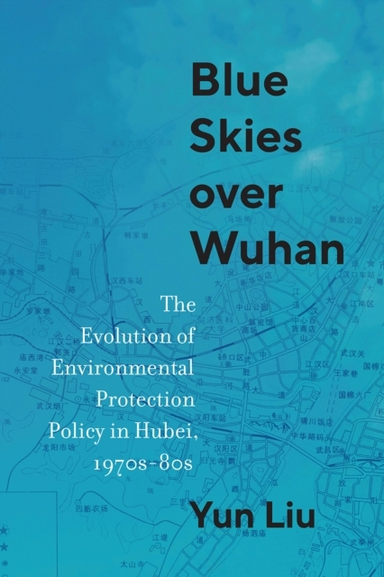 Blue Skies Over Wuhan The Evolution Of Environmental Protect