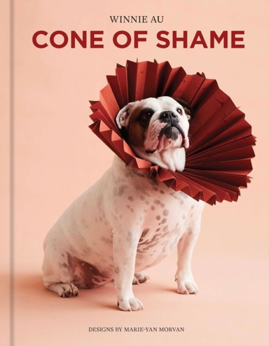 CONE OF SHAME