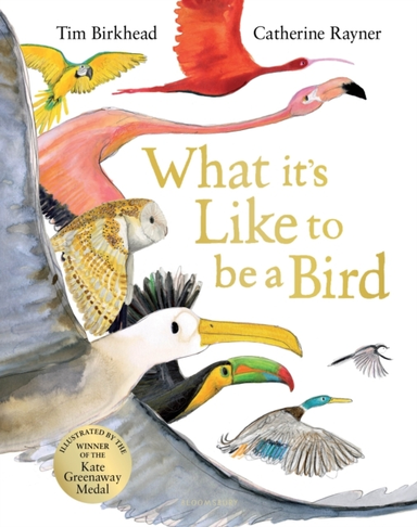 WHAT IT'S LIKE TO BE A BIRD