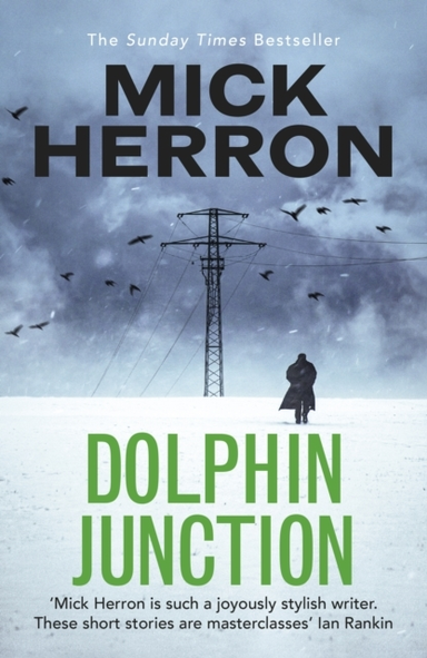 DOLPHIN JUNCTION
