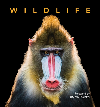 DELUXE WILDLIFE