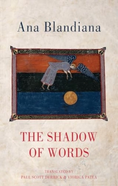 THE SHADOW OF WORDS
