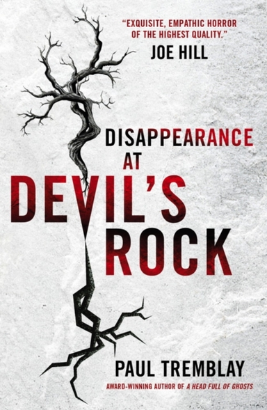 DISAPPEARANCE AT DEVIL'S ROCKA NOVEL