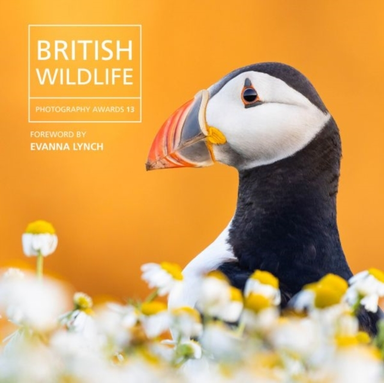 BRITISH WILDLIFE PHOTOGRAPHY AWARDS 13
