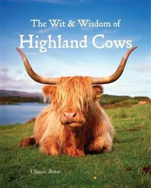 Wit & Wisdom Of Highland Cows