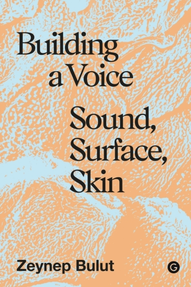 Building A Voicesound Surface Skin