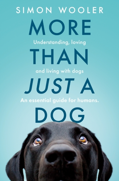 More Than Just A Dog Understanding, Loving And Living With D