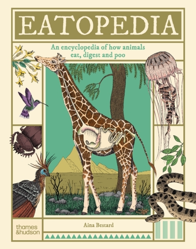 Eatopedia An Encyclopedia Of How Animals Eat, Digest And Poo