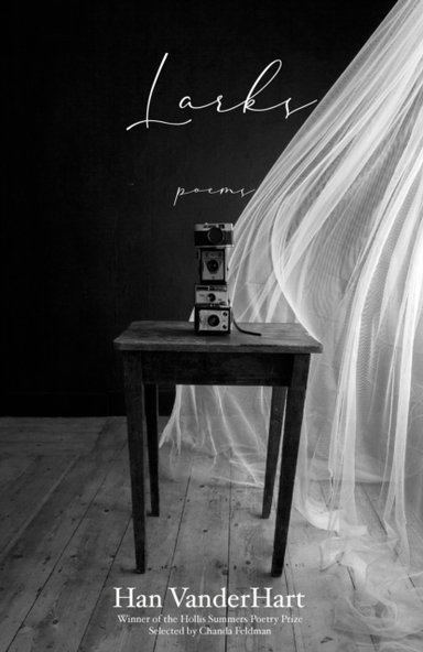 Larks Poems