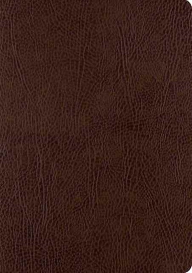ESV SINGLE COLUMN JOURNALING BIBLE, LARGE PRINT