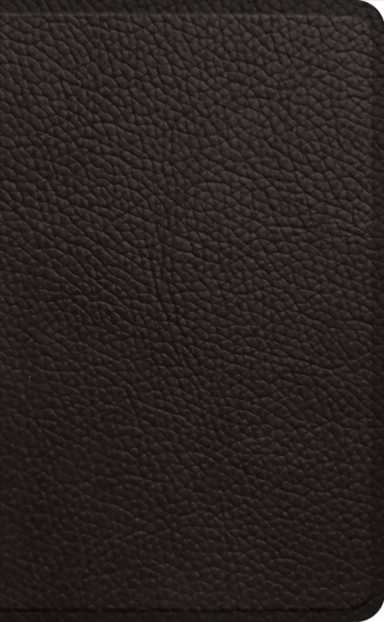 ESV POCKET BIBLE