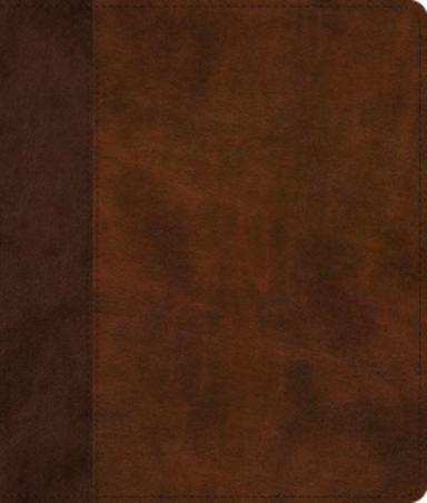 ESV JOURNALING BIBLE